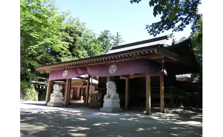 栃木へドライブ。神社巡りや御朱印集めを楽しむ日帰り女子旅｜旅行